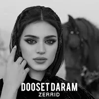 Zerrid — Dooset Daram Ft Adik & Upbeats — обложка
